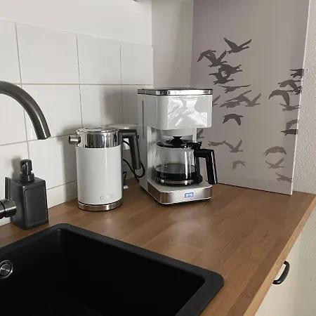 Daire Ferienwohnung Augenblick Altenberg (Erzgebirge)